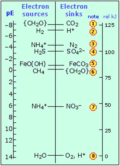 ph_scale3.jpg