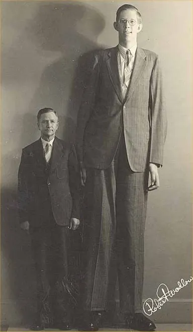 wadlow.jpg